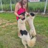 Ju Pet Sitter