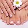 Pedicura y Manicura