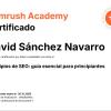 Certificado Semrush Academy