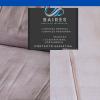 Baires Servicios Integrales