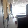 Pintura local