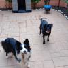 THORA Y MOSSA