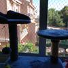 ventanas de seguridad para gatos