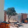 1.1Demolicion de muro