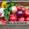 La cocina es una mezcla de colores, sabores, olores y texturas que despiertan todos los sentidos.