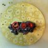 Plato Mexicano: Relleno Enchilada: Frijoles negros, queso de cabra y aji habanero
