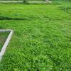 J.l. Empresa De Mantenimiento Y Jardinería