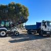 Licitaciones Y Contrataciones Mobre