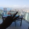Servicio de limpieza (Benidorm)
