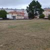 Desbroces Y Jardineria Lago