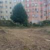 Desbroces Y Jardineria Lago