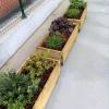 Mantenimiento De Jardines Marcos