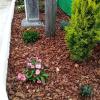 Mantenimiento De Jardines Marcos