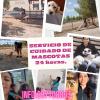 Allison Isabel Díaz Marin