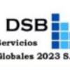 Dsb Consultores