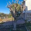Atos Jardinería Y Mantenimiento