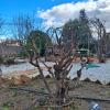 Atos Jardinería Y Mantenimiento