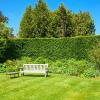 Avera Jardin