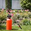 Avera Jardin