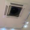 Handyman Ws