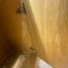 Handyman Ws