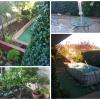 Arogardensolar
