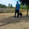 Socialdog