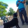Socialdog