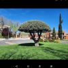 Jardinería Aleman