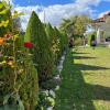 Jardinería Aleman