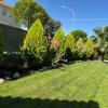 Jardinería Aleman