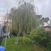 Jardinería Aleman