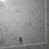 Colocar papel pared de baño