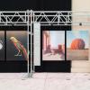 Rocio Ledesma Arq.