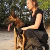 Anubis Dog School