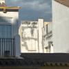 Renovasur