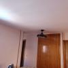 Fontanería Pintura  Y Manitas