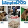 Limpia Dog Canillejas
