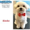 Limpia Dog Canillejas
