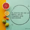 Motivaciones durante el seguimiento