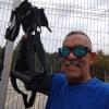 Entrenamiento en suspensión