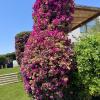 Jardinería Integral