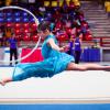 Campeonato Nacional de Gimansia Ritmica 2024