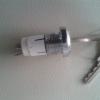 Solsegur