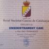 Calmacan Educación Canina