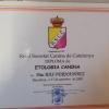 Calmacan Educación Canina