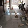 Zassari Construcciónes Y Limpieza