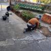 Fusión Proyect 247