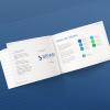 Rediseño logo y Brand Book
