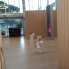 Limpiezas Montse